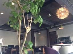 cafe Room