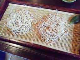 游食庭琴ひら