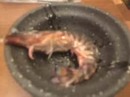 瑞kitchen
