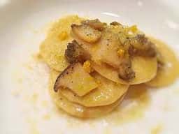 coccolino