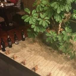 ウルトラチョップ 京都先斗町