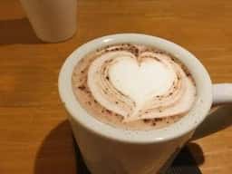 ラジ・カフェ・アパートメント