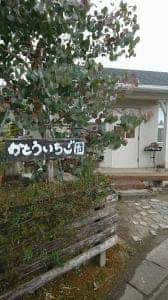 かとういちご園
