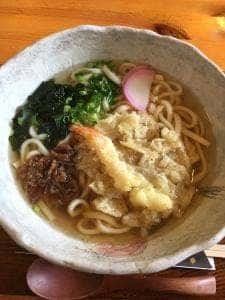 ぽんぽこの里