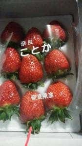 當麻の家