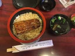 うな菊