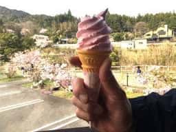 郷の恵 風輪