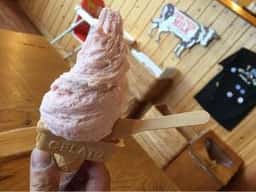 トムミルクファーム