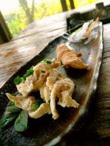 日向地どり 野乃家