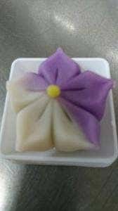 菓舗 宮崎誠昌堂