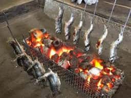 森養魚場 いわなの庵