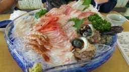 樽海