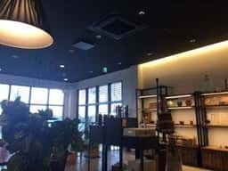 giraffa