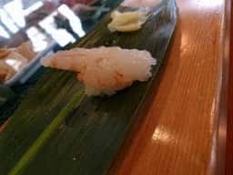 田がみ