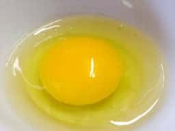 峠自然塾 りょうらん亭