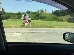 だいこくや