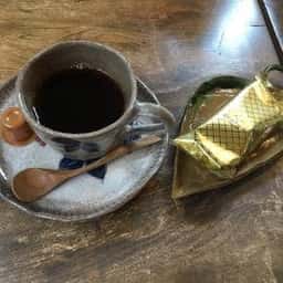 樹の萌