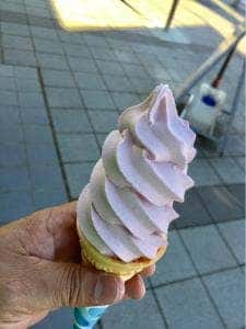 雪うさぎ 不動寺PA下り店