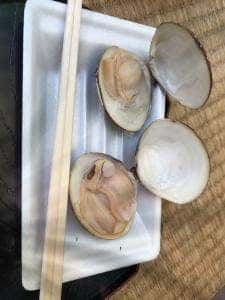 貝新 水谷新九郎