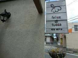 felice di tucca