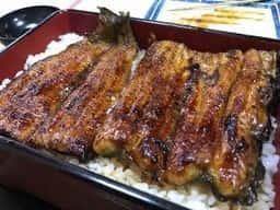 うなぎ天ぷら 長谷川
