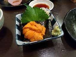 春駒