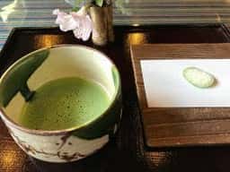 山燈花