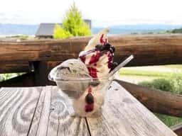 ラッテたかまつ