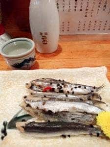 木むら