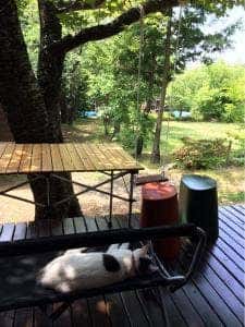 手あぶり焙煎 くろねこ珈琲