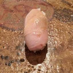 吉鮨