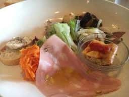 POLPO