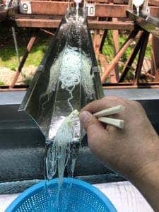 滝流しそうめん