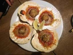 炭火焼イタリアン&ワイン オイノス野毛