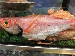 丸三すし
