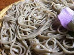卯乃木