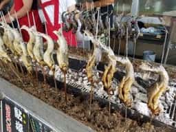 道の駅福光 なんと一福茶屋