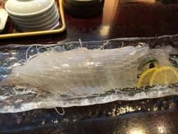 築地すし鮮 福岡総本店
