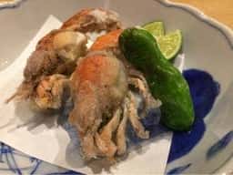 酒菜 だんだん