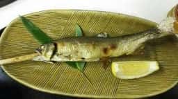 大沢温泉 菊水館