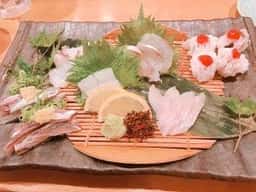 魚炉目