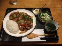 Shizen-kan 自然館