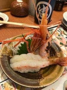 うみっ子 回転でらうま寿司 丸忠 朝倉店