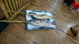 いこい食堂