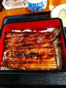 うなぎ福竹