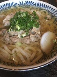 海で魚を食べる鳥
