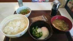 すき家 8号坂井丸岡店