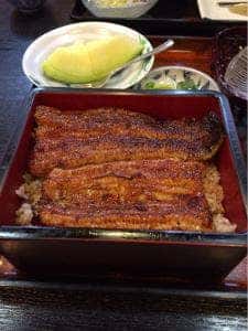 うな光