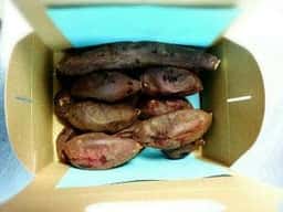 焼きいも専門店 樽屋