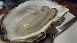 オイスターストーリー 牡蠣亭